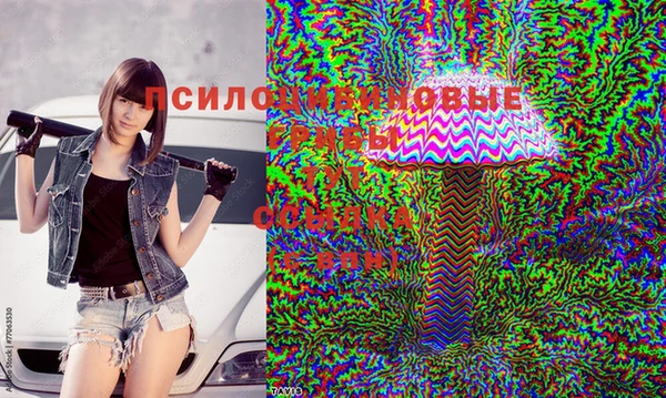 молекула духа Куйбышев