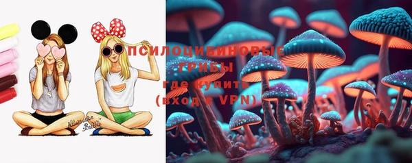 шишки Дедовск