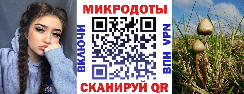 Псилоцибиновые грибы ЛСД Кировград